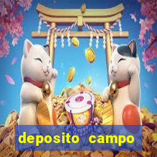 deposito campo grande santos